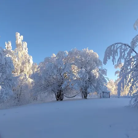 Tunnelmallinen Moekki Saunalla *