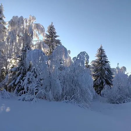 Horská chata Tunnelmallinen Moekki Saunalla *
