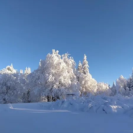 Tunnelmallinen Moekki Saunalla Korholanmäki