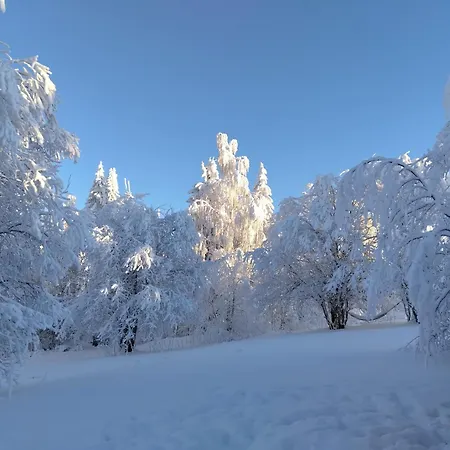 Tunnelmallinen Moekki Saunalla *